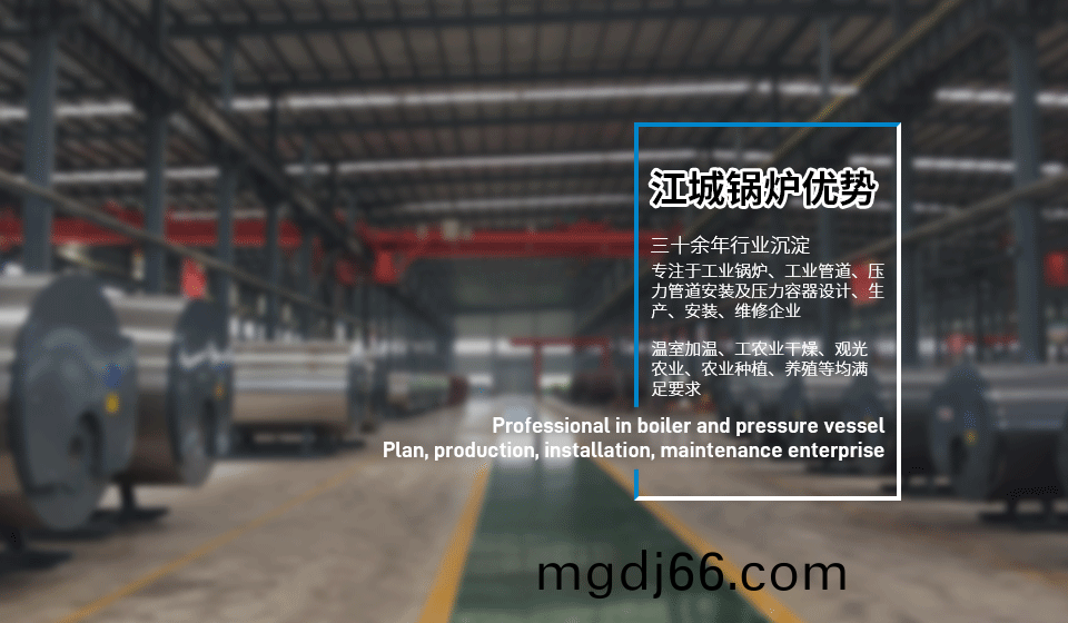 湖北燃氣蒸汽(qi)鍋(guo)鑪(lu)